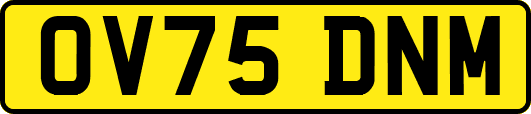 OV75DNM