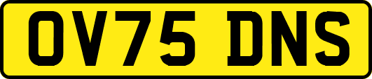 OV75DNS