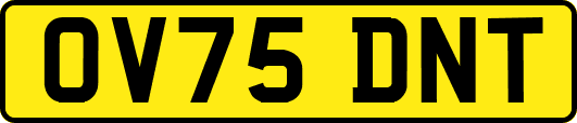 OV75DNT