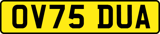 OV75DUA