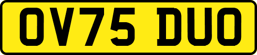 OV75DUO