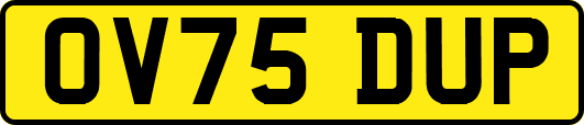 OV75DUP