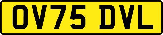 OV75DVL