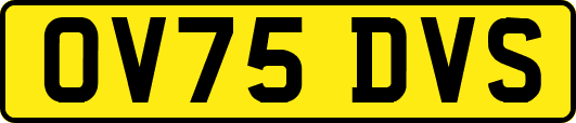 OV75DVS