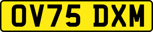 OV75DXM