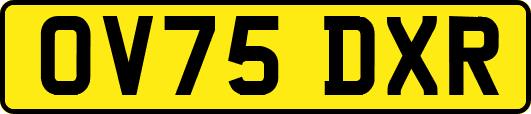OV75DXR