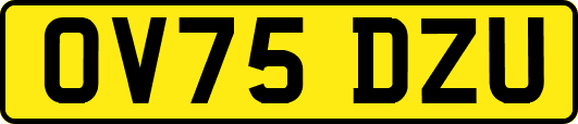 OV75DZU
