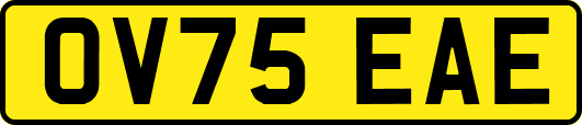 OV75EAE