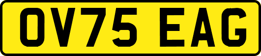 OV75EAG