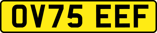 OV75EEF