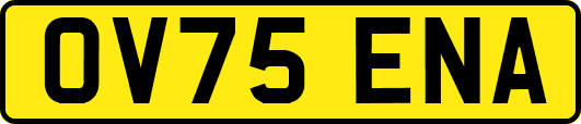 OV75ENA