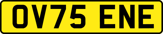 OV75ENE