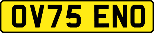OV75ENO