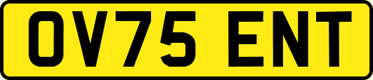OV75ENT