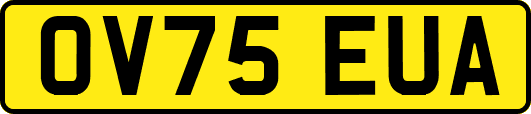 OV75EUA