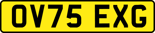 OV75EXG