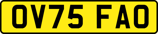 OV75FAO
