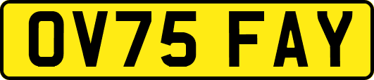 OV75FAY