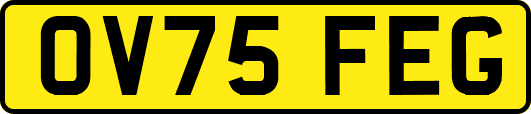 OV75FEG