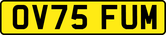 OV75FUM
