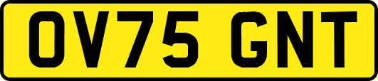 OV75GNT