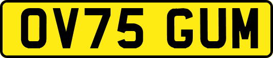 OV75GUM