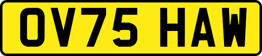 OV75HAW