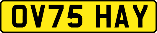 OV75HAY
