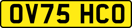 OV75HCO