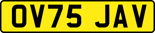 OV75JAV