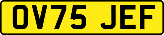 OV75JEF