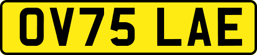 OV75LAE