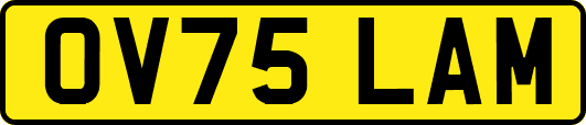 OV75LAM