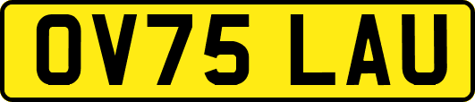 OV75LAU