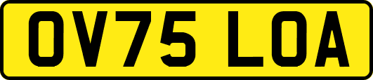 OV75LOA