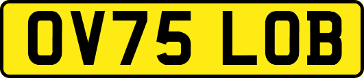 OV75LOB