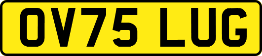 OV75LUG
