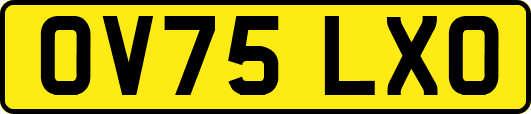 OV75LXO