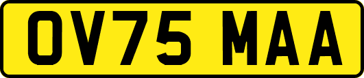 OV75MAA