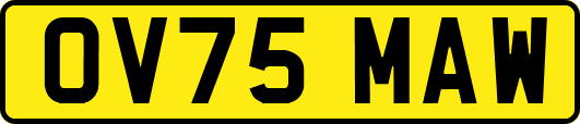 OV75MAW