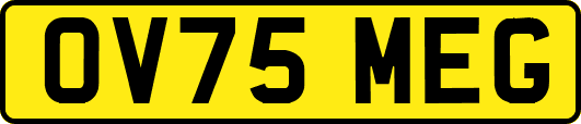 OV75MEG