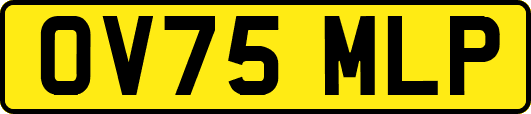 OV75MLP