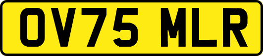 OV75MLR