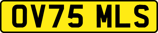 OV75MLS