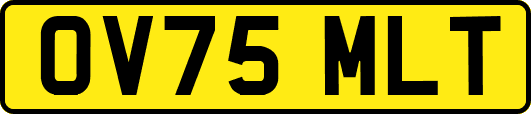 OV75MLT