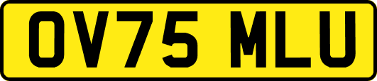 OV75MLU