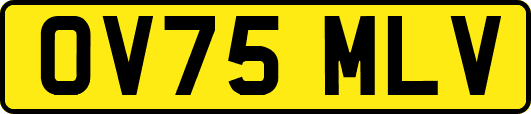 OV75MLV
