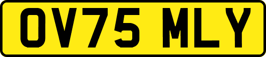 OV75MLY