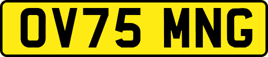 OV75MNG