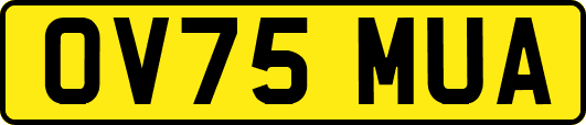 OV75MUA